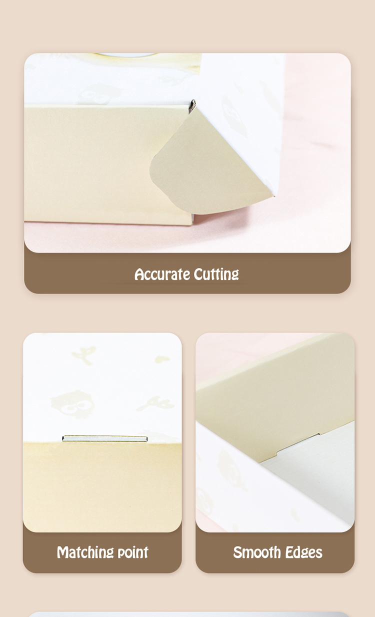 Mailer Cardboard Packaging