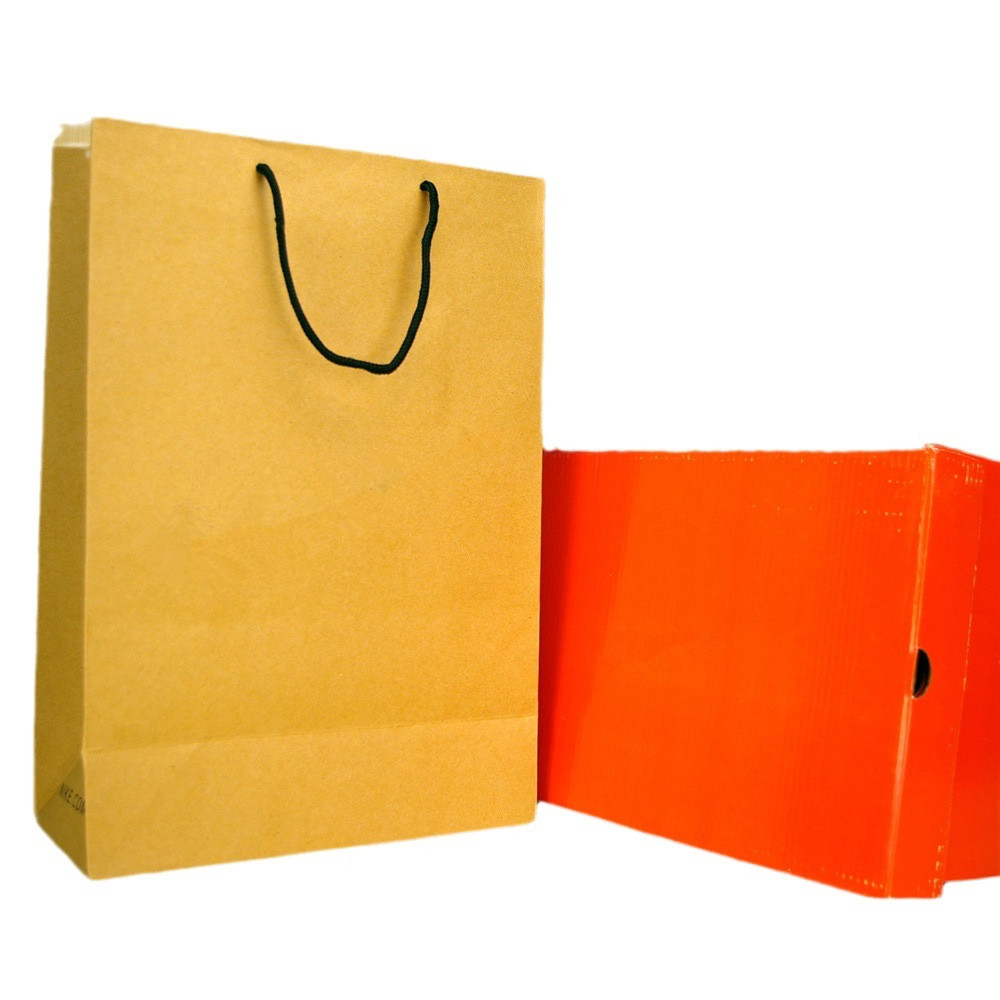 Wholesale Custom Printed Jordan Paper Bags for Sneakers Shoe Clothes