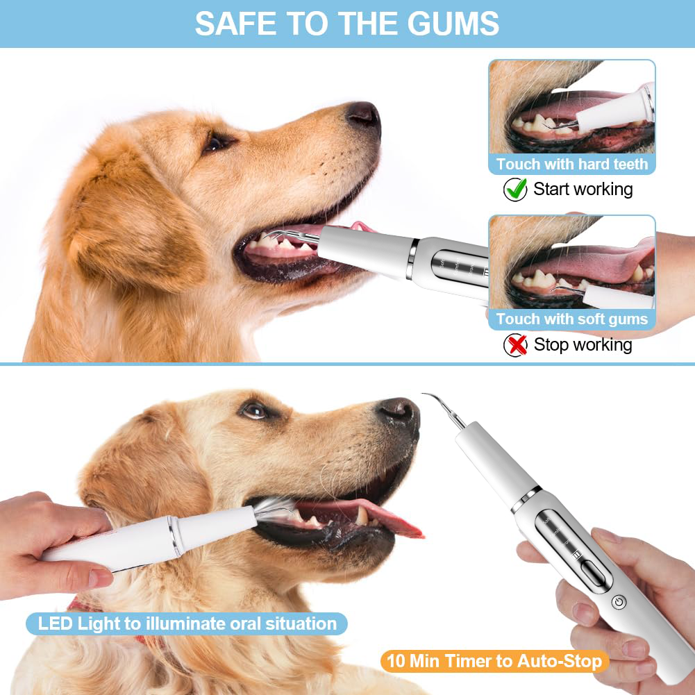 240V Dog Teeth Cleaning Ultrasonic Machine USB Ultrasonic Cleaner For Dogs Teeth