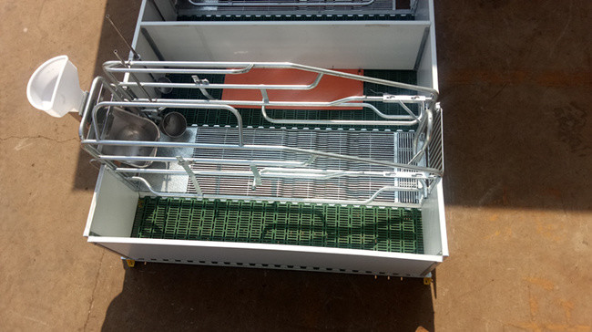 Stainless Steel Galvanised Stackable Pig Farrowing Crate