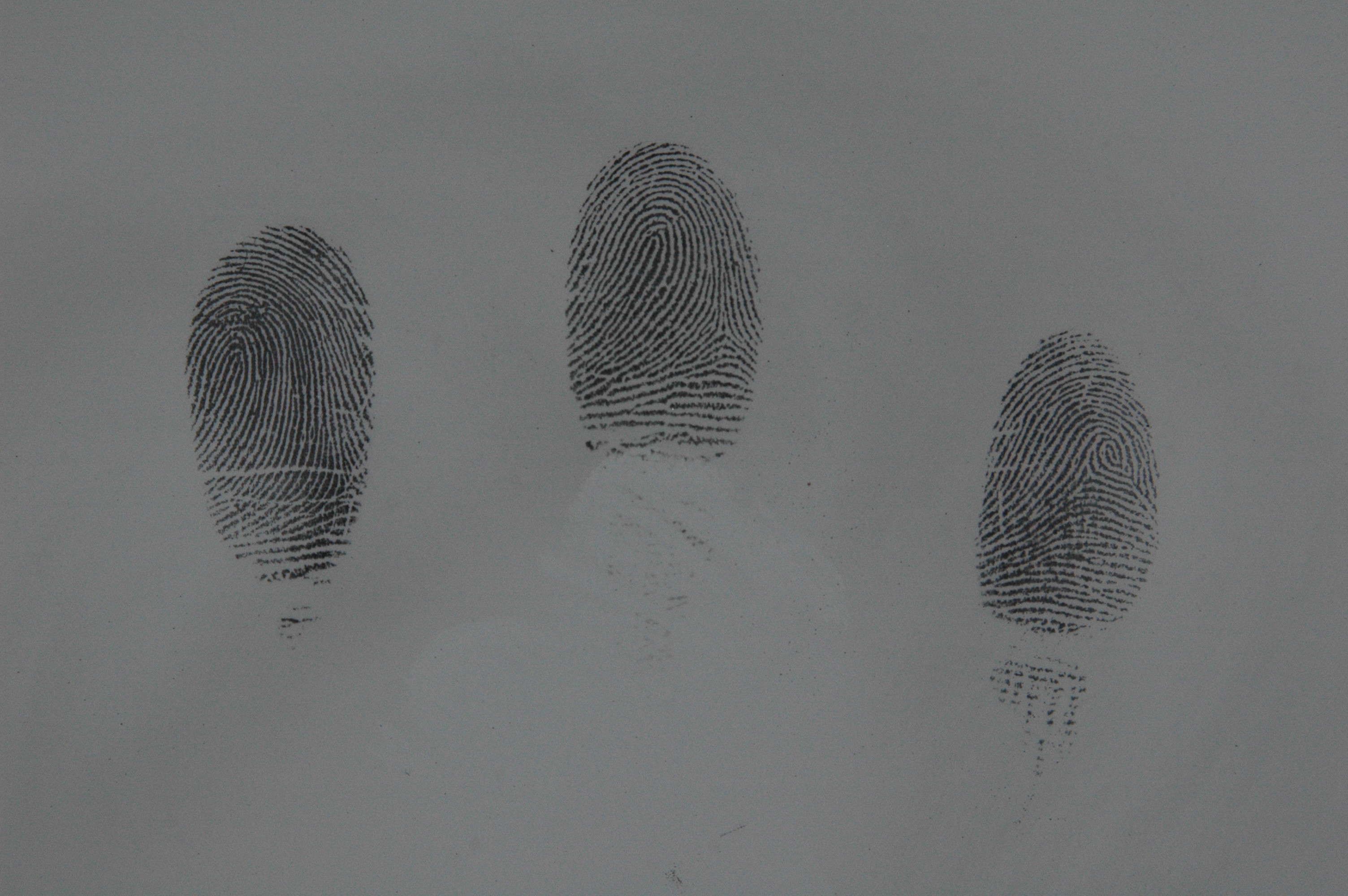 C083 Black magnetic fingerprint powder