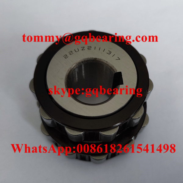 Nylon Cage Eccentric Cylindrical Bearing 22UZ2111317T2 PX1 For Speed Reducer