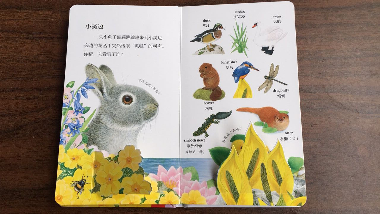 Fun Coloring Learning Baby Board Book Printing Customized Size