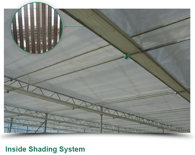 Multi-span Agricultural Glass Greenhouse with Film Covering Width 8m or Customizable