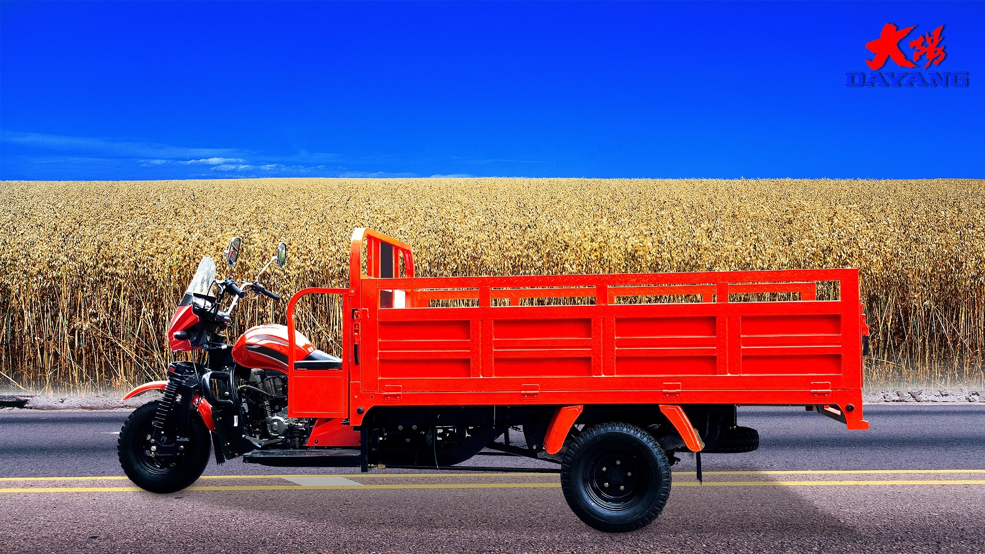200CC Cargo Tricycle Motorcycle with Motorized Driving Type and Curb Weight of ≥500kg