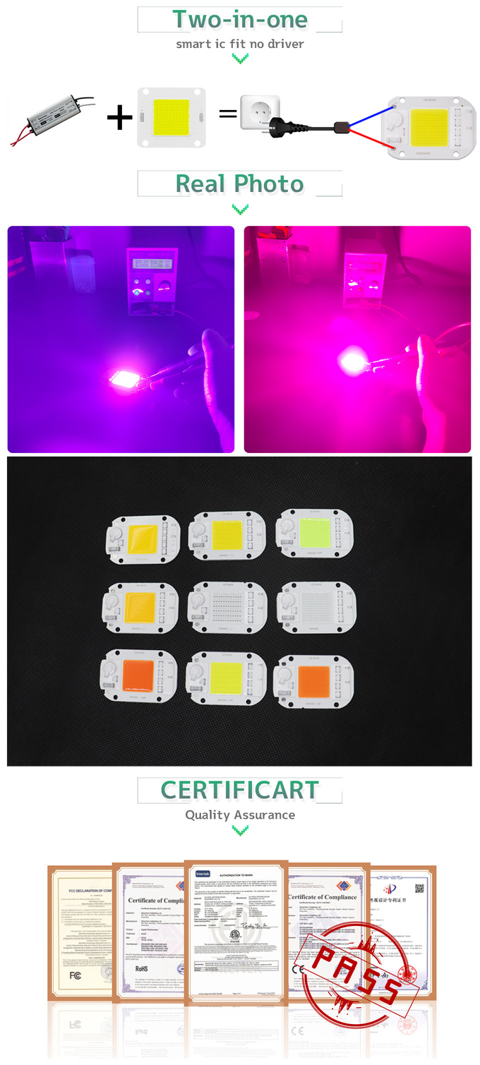 6500K 20W Chip LED COB Nature Cold Blue Red For Landscape Lighting