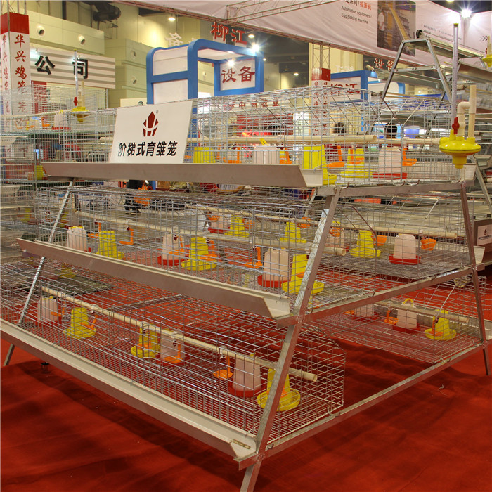 Durable A Type Baby Chick Cage Low Death Rate With Manual Feeding System