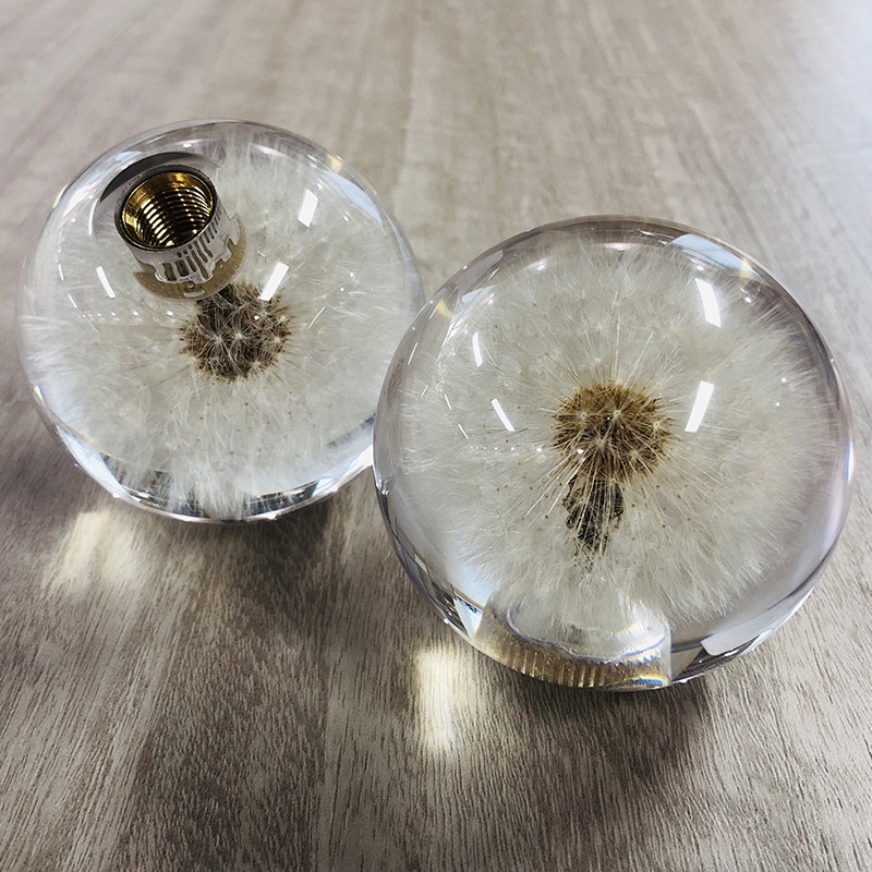Gear shift knob with real dandelion inside