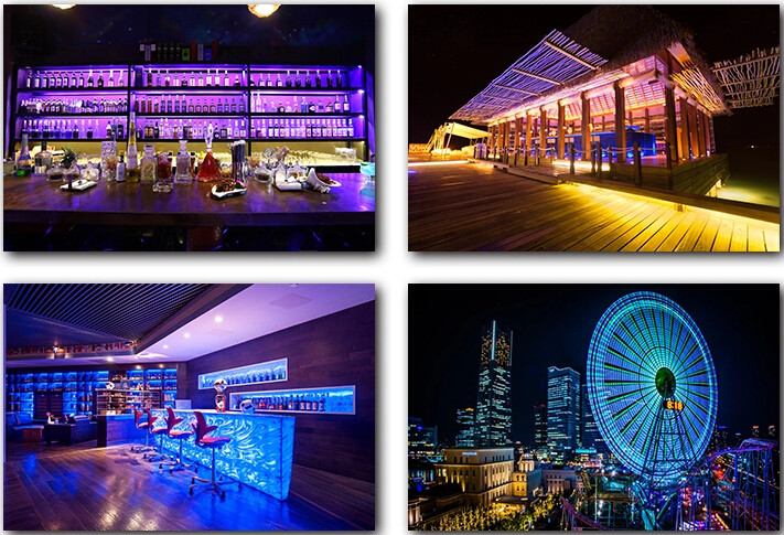 WS2815 5050 RGB LED Strip 24V 5050 Full Color Led Strip Light Tape