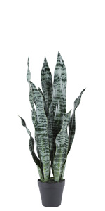 Artificial Snake Plants