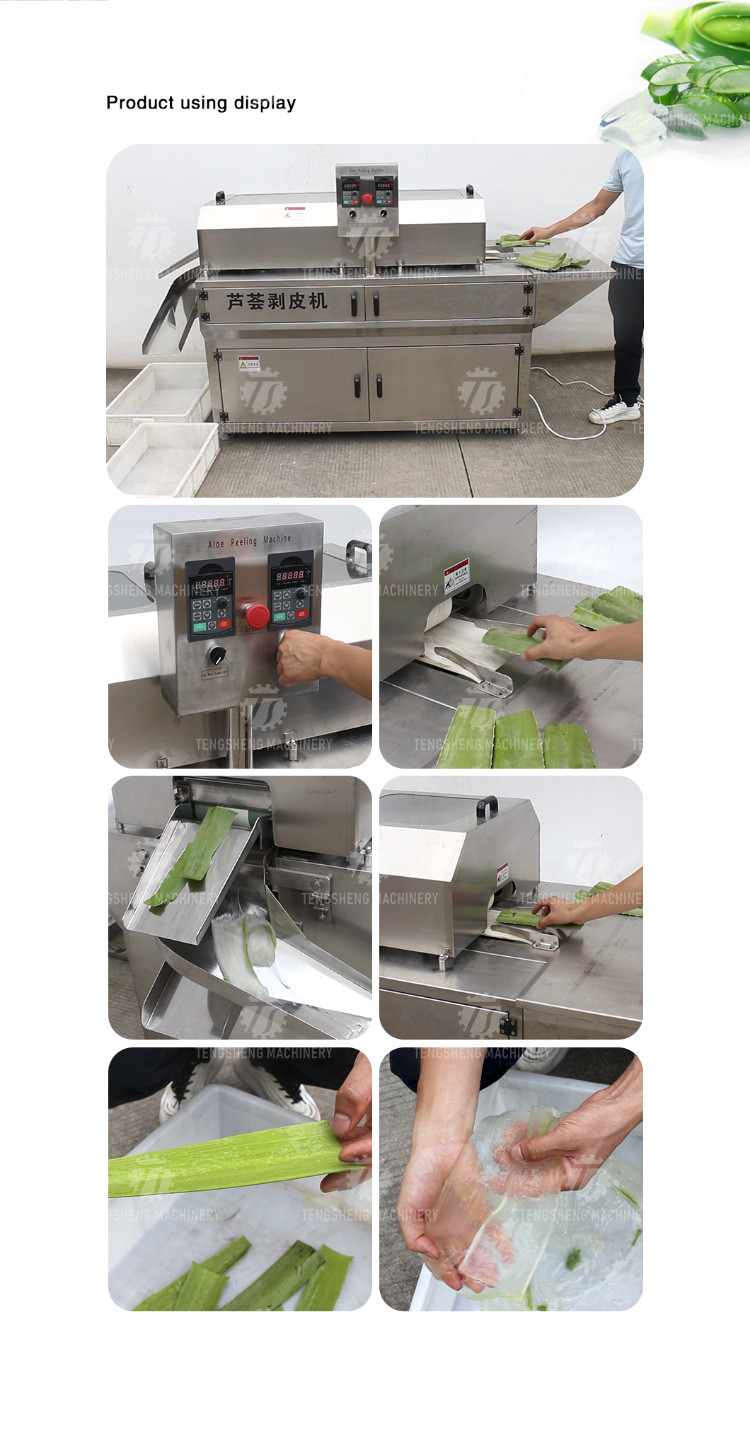 1500KG/H Large supply of peeling machine peeling aloe vera peeling machine yield large peeling effect