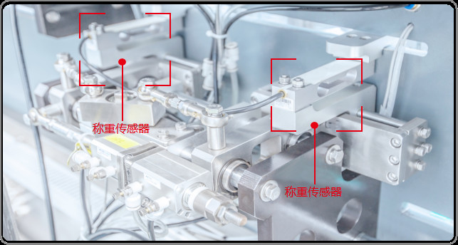 2.5KW Horizontal Pouch Packing Machine Linear Cylinder Feed Bag Packing Machine SUS304