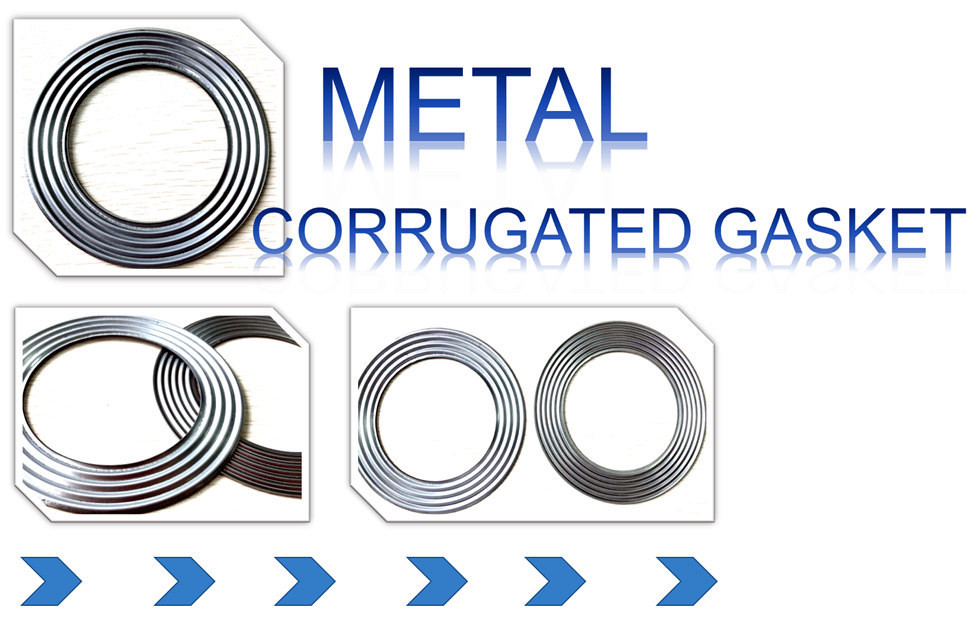 Groove PTFE Coated 316L DN15 Corrugated Metal Ring