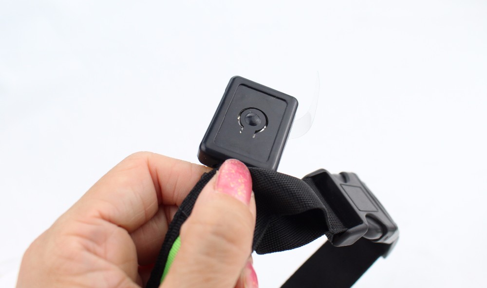 Polyester Adjustable Led Light- Up Pet Leash , Led Dog Light Collar