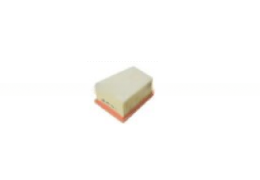 Enhance Your Renault's Engine with 16546-00QAU 4408341 Air Filter Replacement