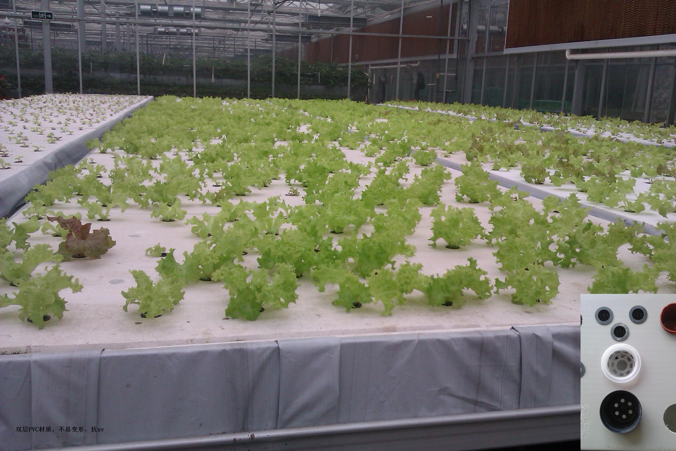 New arrival Hydroponics NFT Greenhouse System with PVC Pipe growing Kits Indoor and Garden