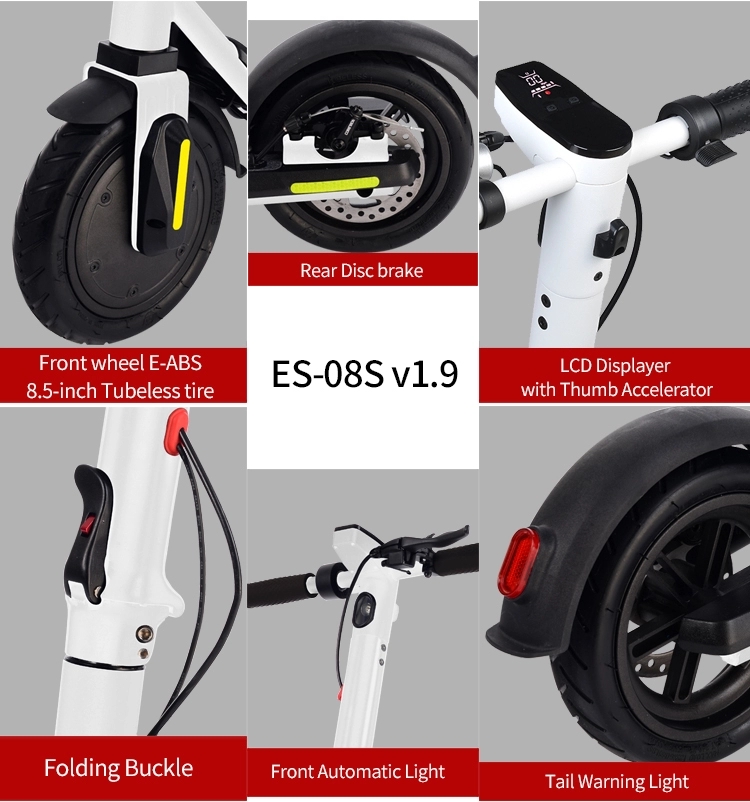 Outdoor Powerful Electric Scooter , Adult Electric Kick Scooter With App