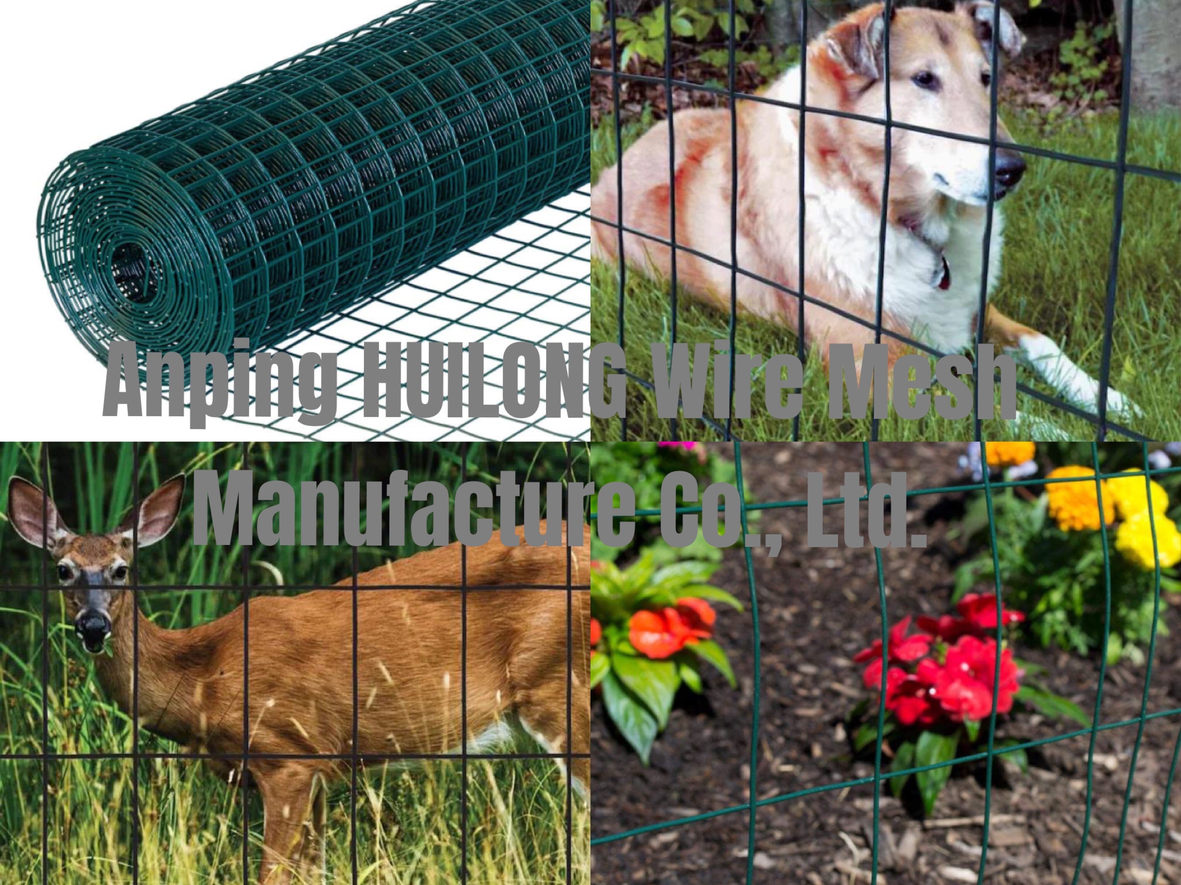 Hot-Dipped Galvanized Welded 2"X4" Square Openings 36inch x 50ft Hardware Cloth Wire Mesh Roll for Deer Animal Enclosure
