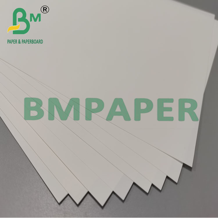 250um 260mm Heat Resistant Synthetic Brochure Paper