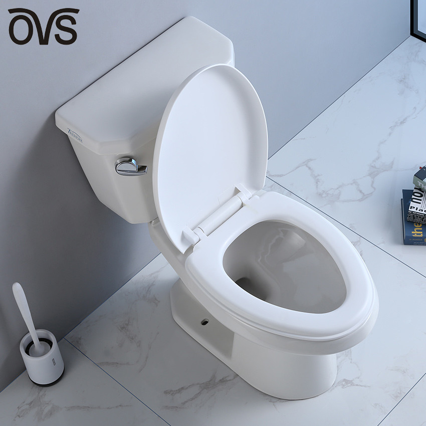 12 Rough In 2 Piece Elongated Toilet Wall Mounted 1.28 Gpf Commode