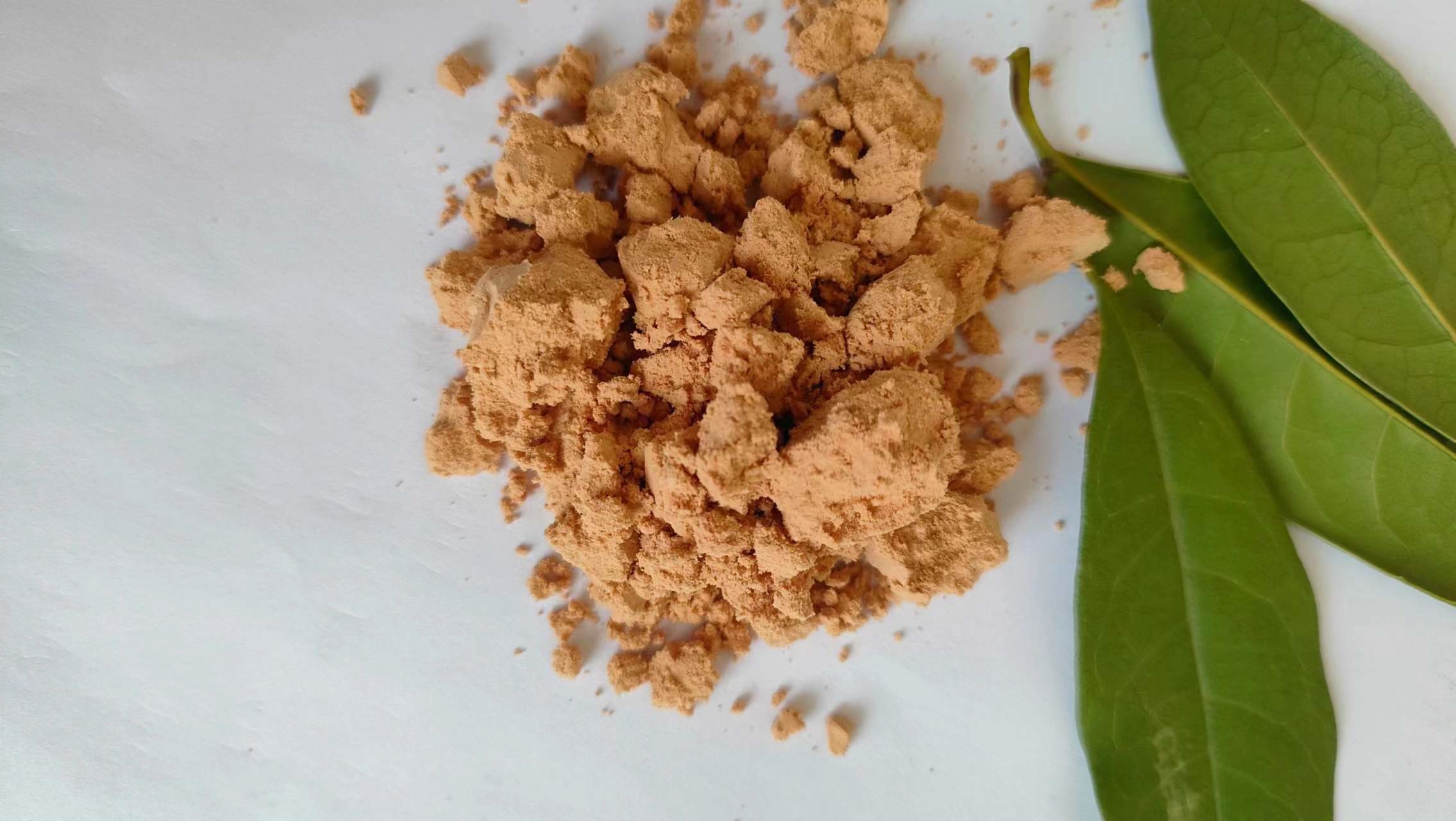 Livestock Protein Feed Spray Dried Plasma Protein Blood Meal For Poultry