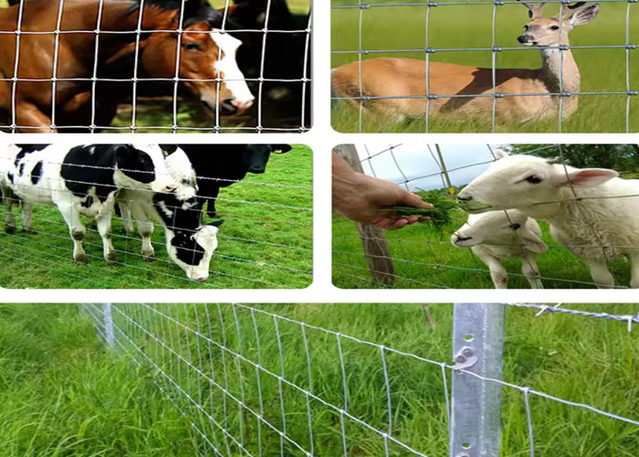 Corrosion Resistance Super Knot Horse Mesh Fencing With Excellent Weather Resistance And Good Ventilation