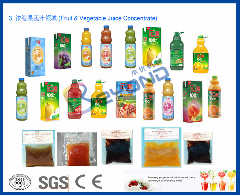 Air Bubble Industrial Fruit Washer Vegetable Washing Machine Low Energy Consumption
