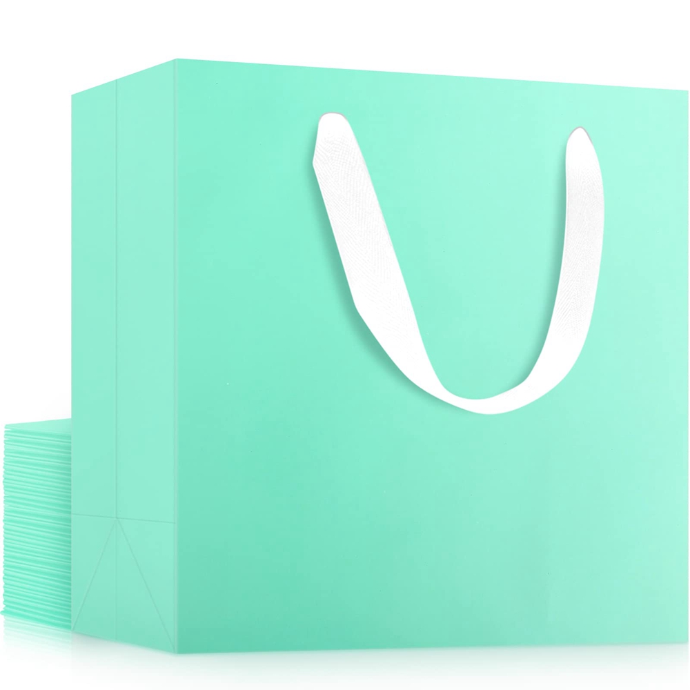 Custom Color Accepted Ribbon Handle Paper Bag for Luxury Clothing Boutique Gifts