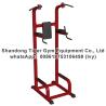 Buy cheap Gym Fitness Equipment Pull Up Dip Abdominal Combination from wholesalers