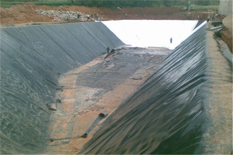 Water Fish Tanks Liner PONDLINER HDPE Geomembranes in Black White Green and Blue