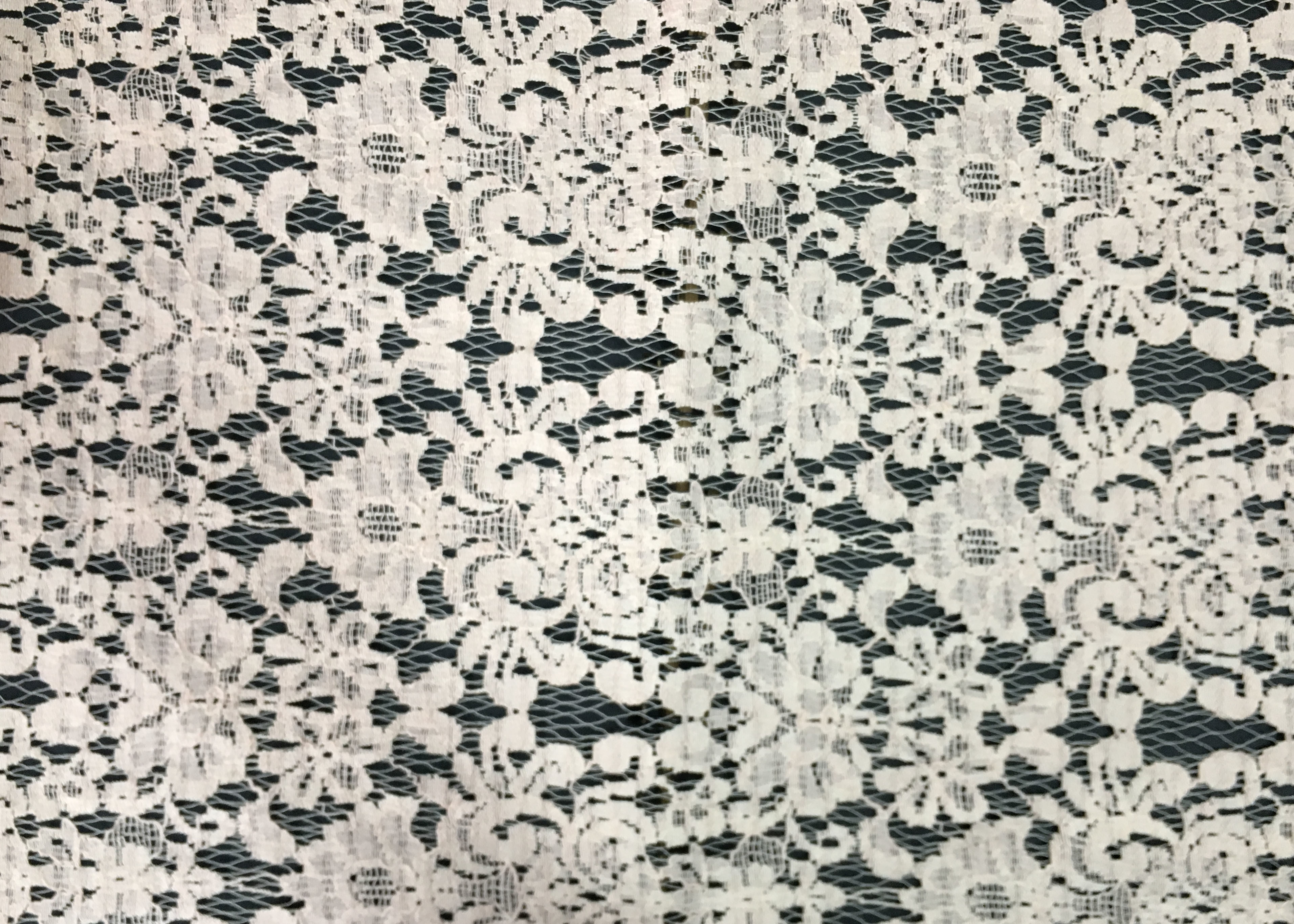 White Swiss Cotton Embroidery Lace Fabric , Cotton Lace Trim For Party