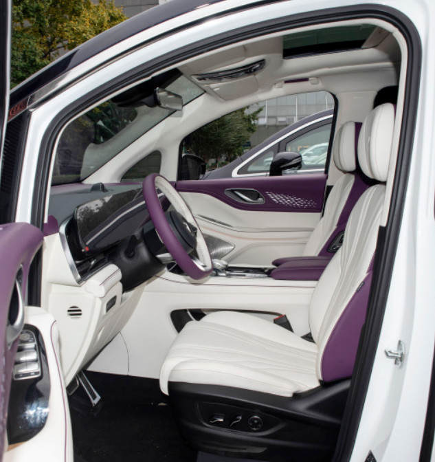 VOYAH Dreamer 2022 Private customized low-carbon version 5 Door 7seats MPV