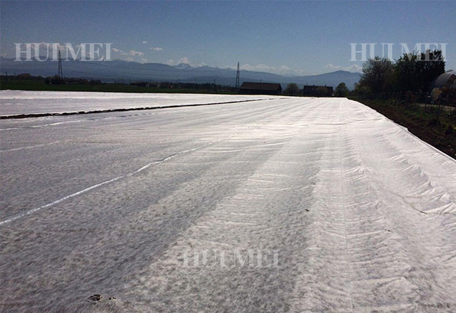 Plants Non Woven Polypropylene Landscape Fabric Environmental Friendly