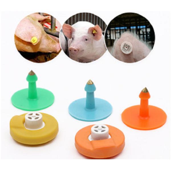 85 Ton Vertical Rotary Plastic Table Injection Molding Machine Used For Animal Ear Tags