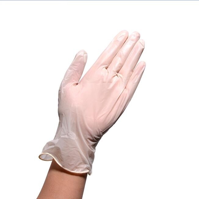 Powdered / Powder Free Clear Vinyl Glove , Latex Free Vinyl Gloves Odorless
