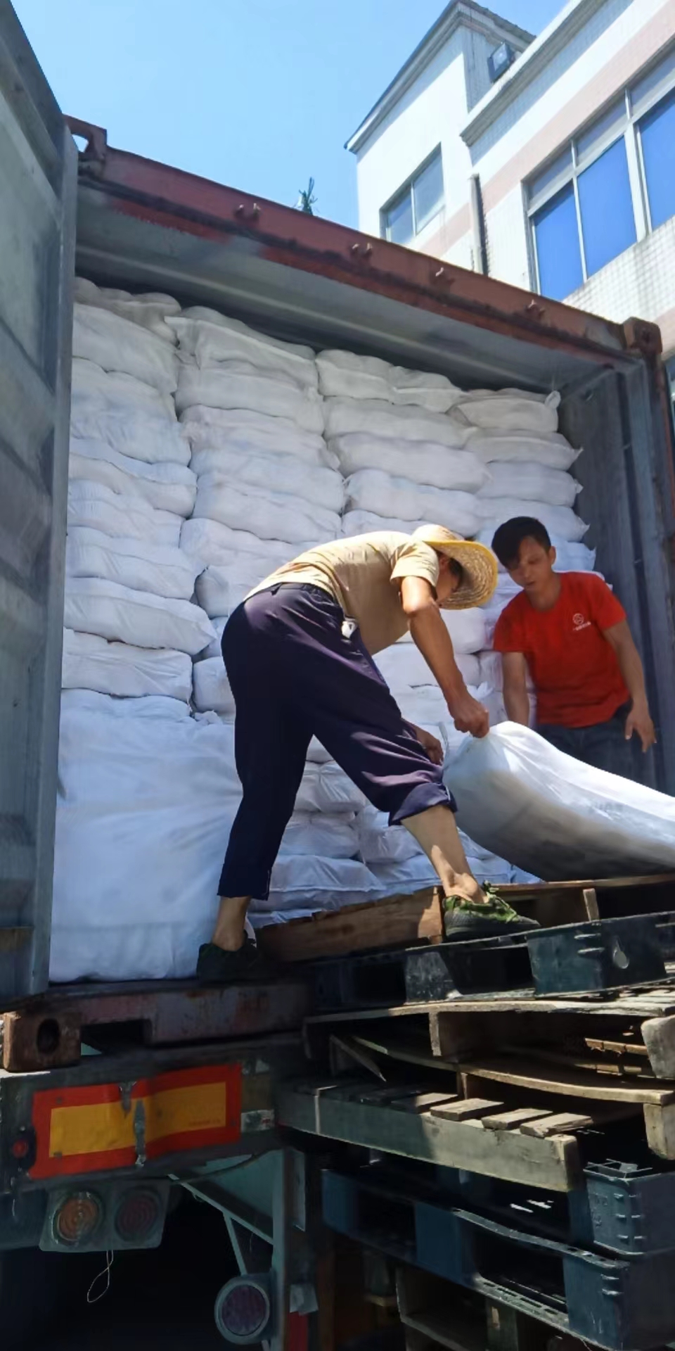 White 150D/3 1.6kg High Tenacity Polyester Yarn Suitable for Various Applications