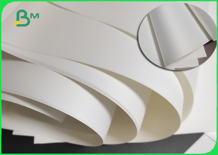PP synthetic paper