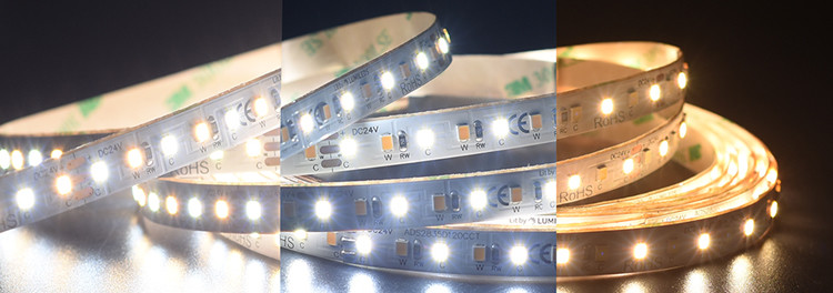 CCT Dual Color Outdoor LED Light Strip White Addressable Cuttable Connecting 3528