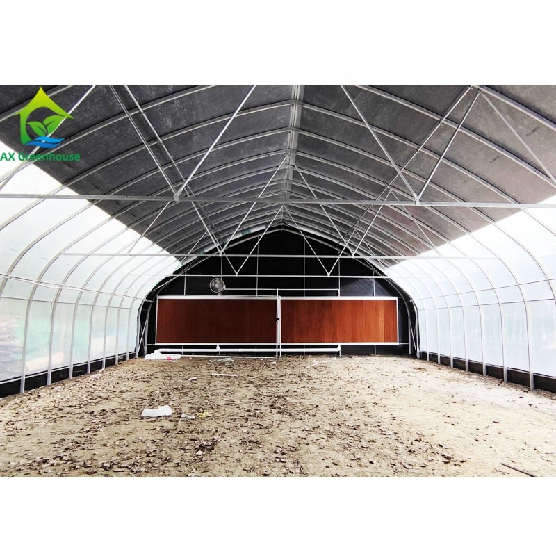 Light Dep External Blackout Greenhouse White Black Film Rolling Hot Galvanized