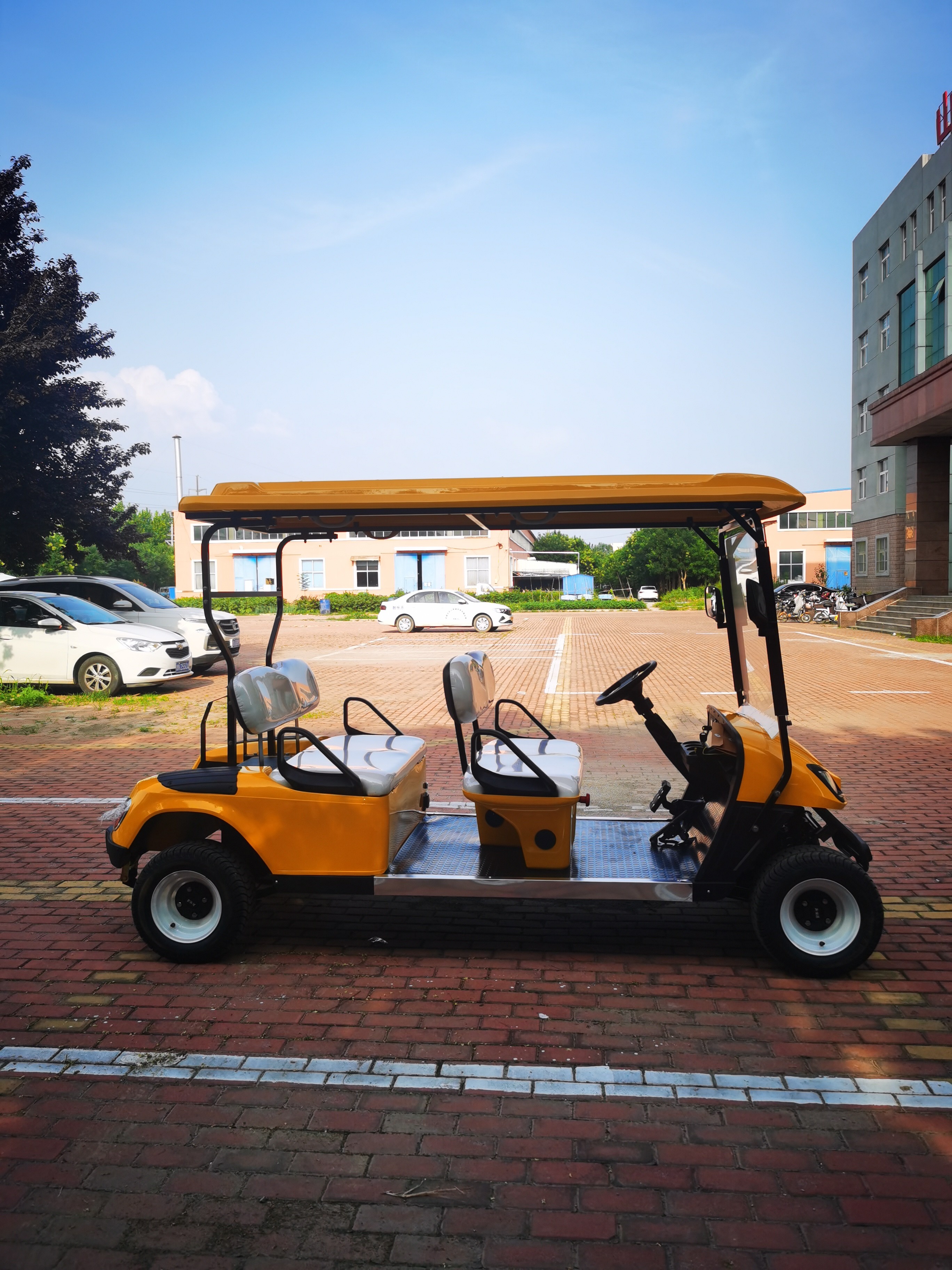 Logo Printing Customized 4 Seater Golf Cart 60 Volt Battery Powered Electric Golf Cart