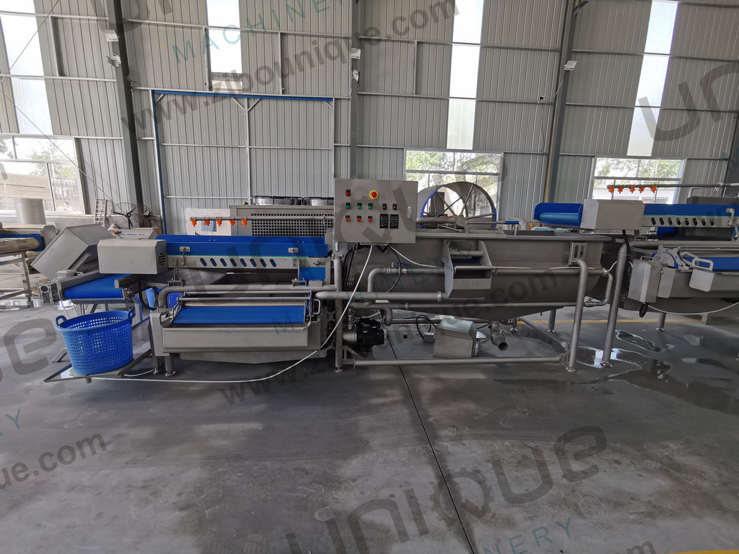 Salad Processing Made Easy Vegetable Washing Machine for Baby Spinach Lettuce Cabbage