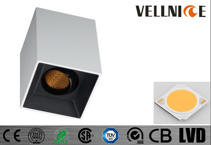 4000K 10W IP44 Outdoor LED Ceiling Lights With 50000 Hours Long Lifspan