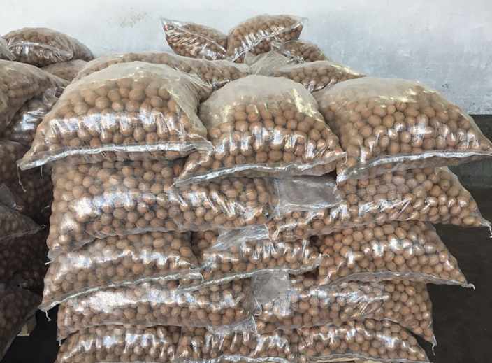 China Li Niu Niu Food Factory wholesale Top Quality Export Walnut Best Price Raw Dry Fruits Washed Walnuts