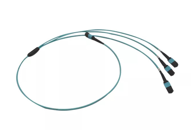 12Fibers 24Fibers MPO/MTP SM MM 5.5mm Trunk Cable/Patch Cord