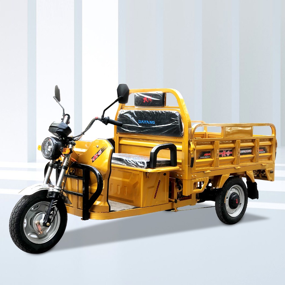 Cargo Tricycle 1000w 12000w 1500w Electric Adult Motorcycle Blue 3 Wheels CCC OEM