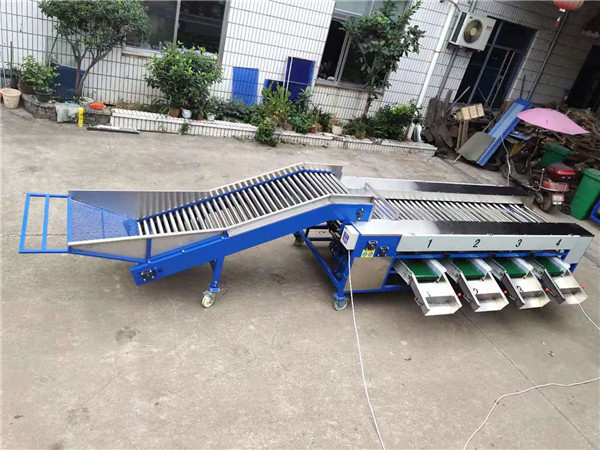 potato grading machine,potato sorting machine,potato sorter