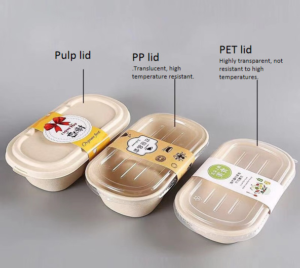 100% Compostable Food Container Sugarcane Lunch Box Bamboo Storage Boxes & Bins Eco-Friendly Multifunction