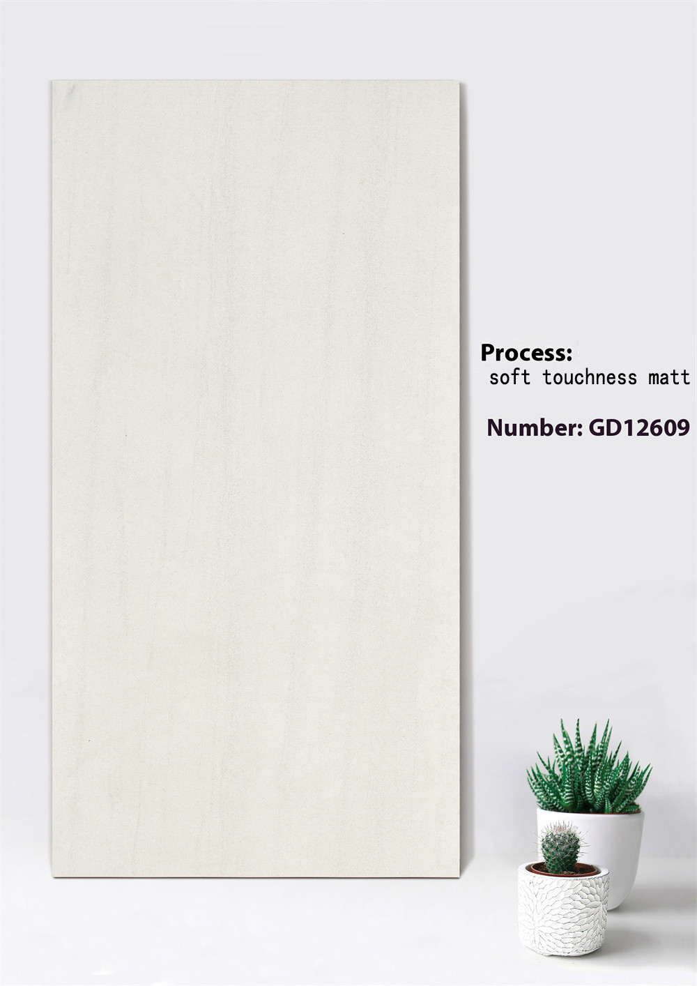 Non-slip Soft Touchness Matt Background Curtain Wall Tile 600x1200mm For Courtyard