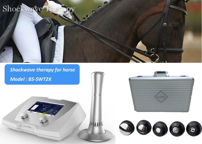 Acoustic Equine Animal Pain Treatment Shockwave Therapy System 1-22Hz trigger point therapy