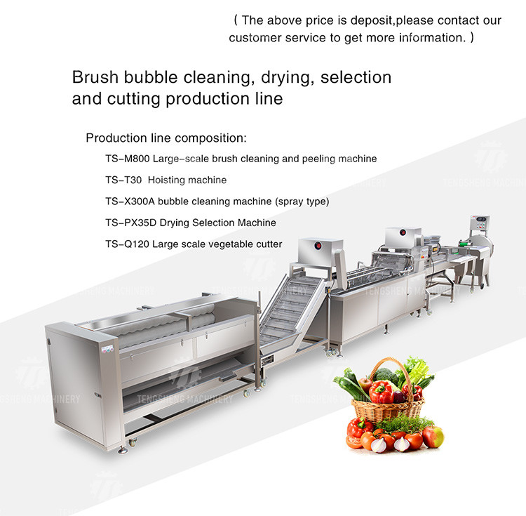 SS304 Fruit And Vegetable Processing Line For Central Kitchens